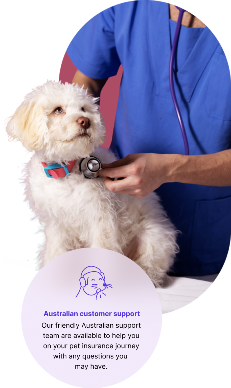 petsy-pet-insurance-for-australian-dogs-cats-kittens-puppies-indoor