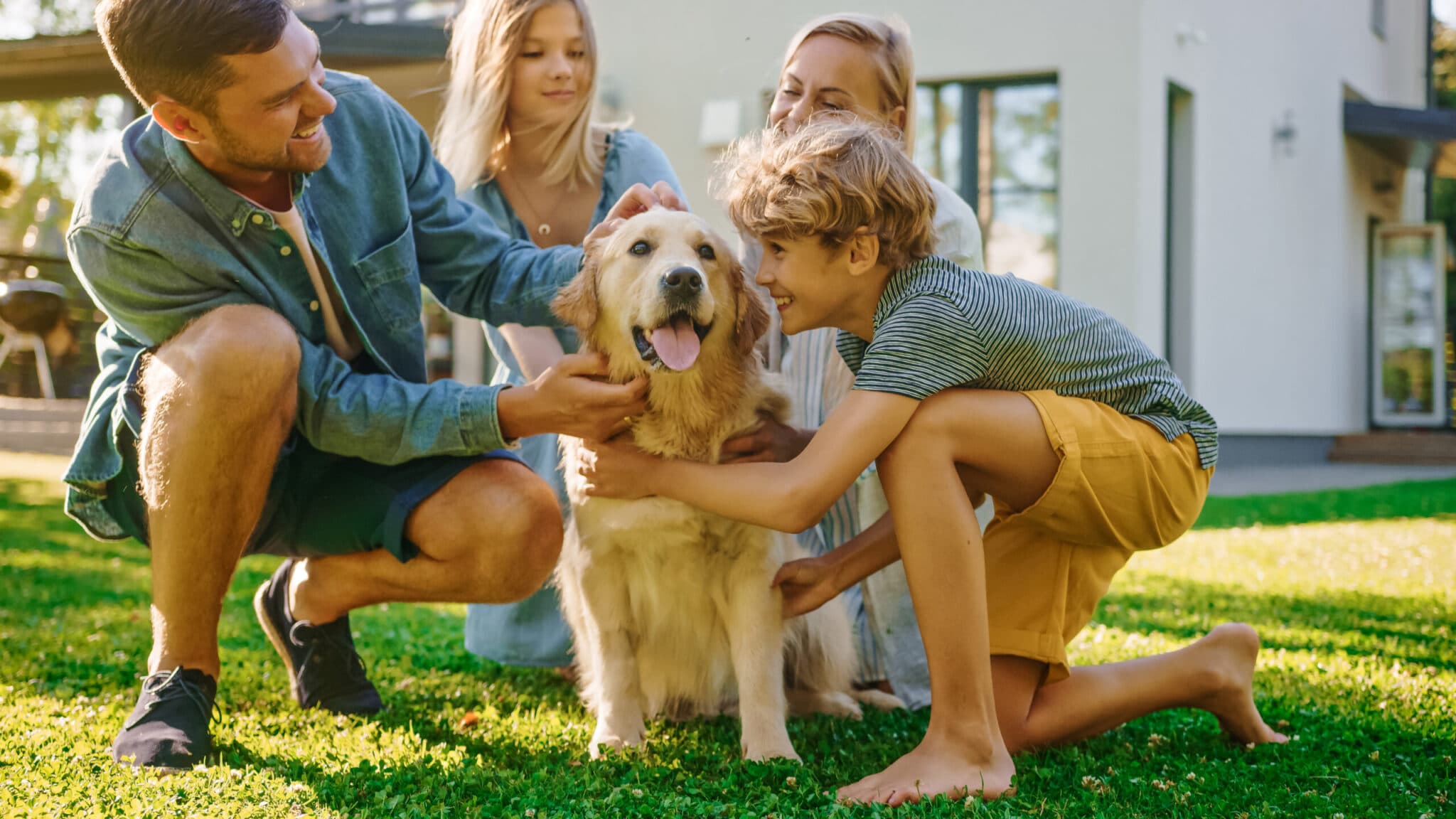 Best_pet_insurance_Australia