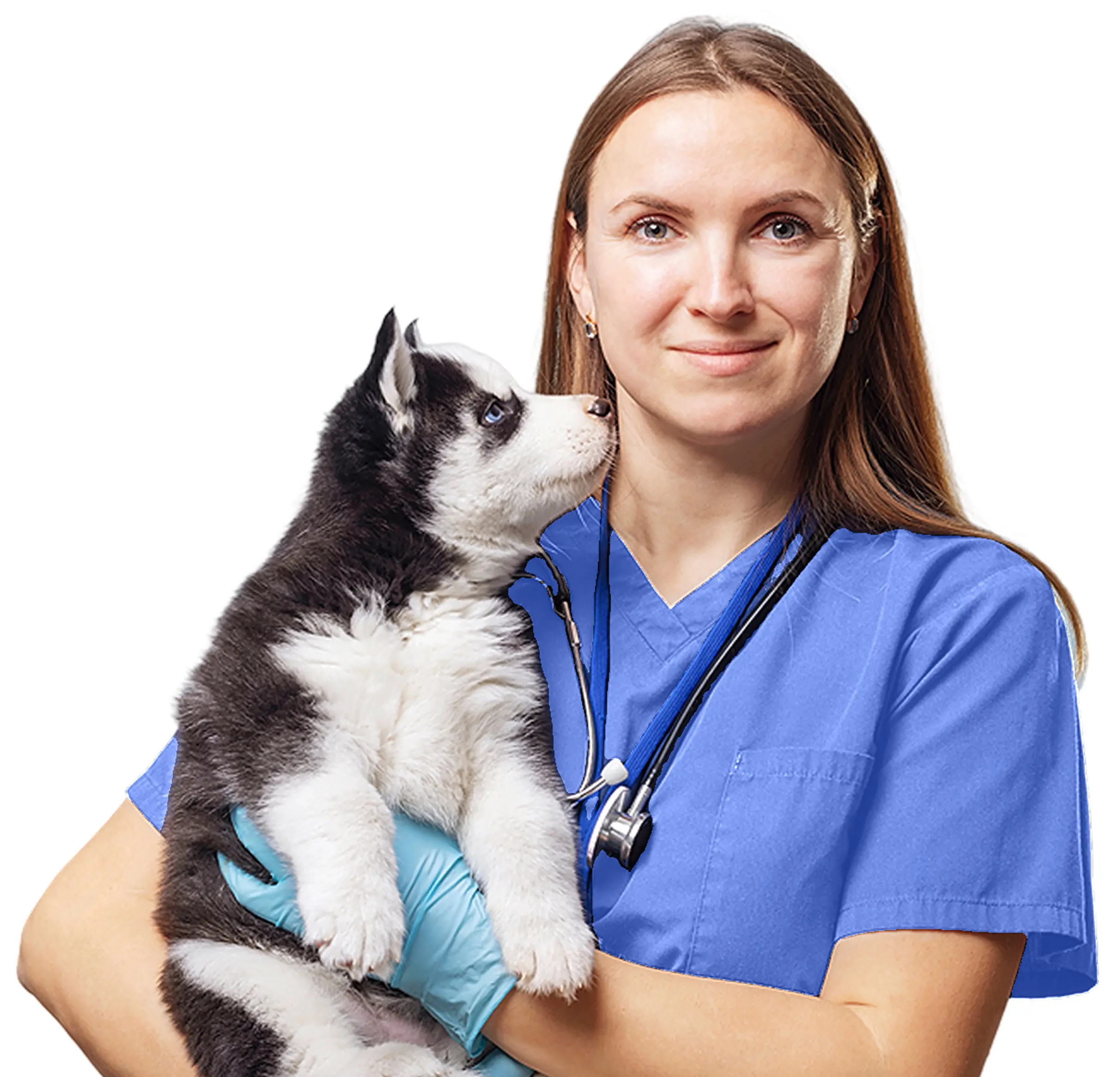 vet-holding-puppy-purchase-policy-treat-own-pet