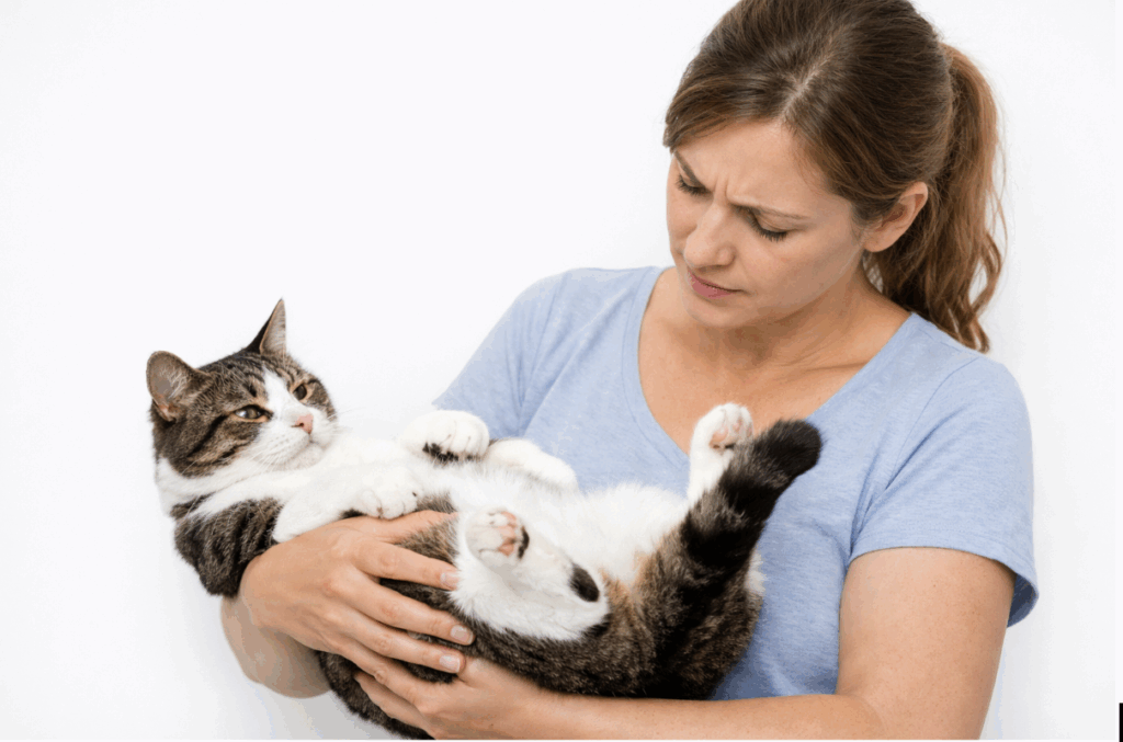 Woman holding a tabby cat carefully, showing proper pet handling and cat care