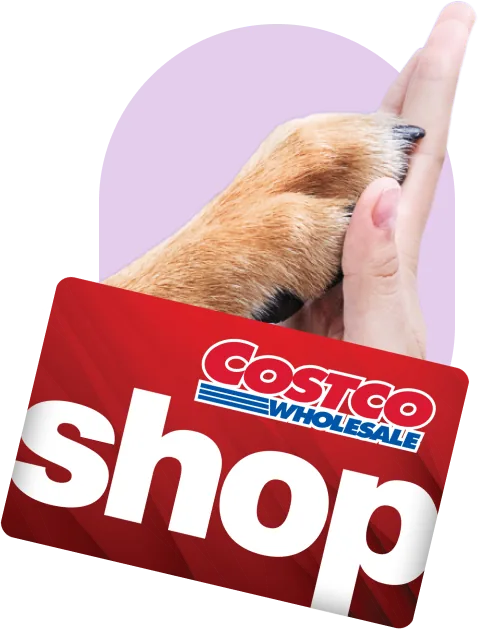 Dog's paw high-fiving a hand above a Costco shop card