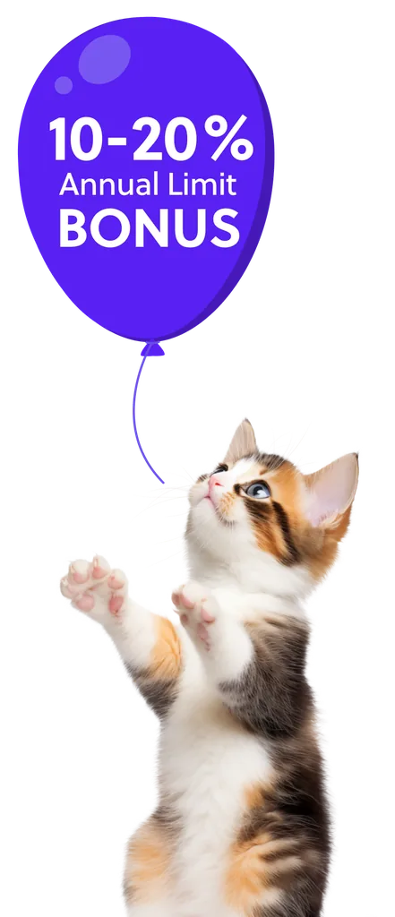 Kitten reaching for a 10-20% Annual Limit Bonus balloon