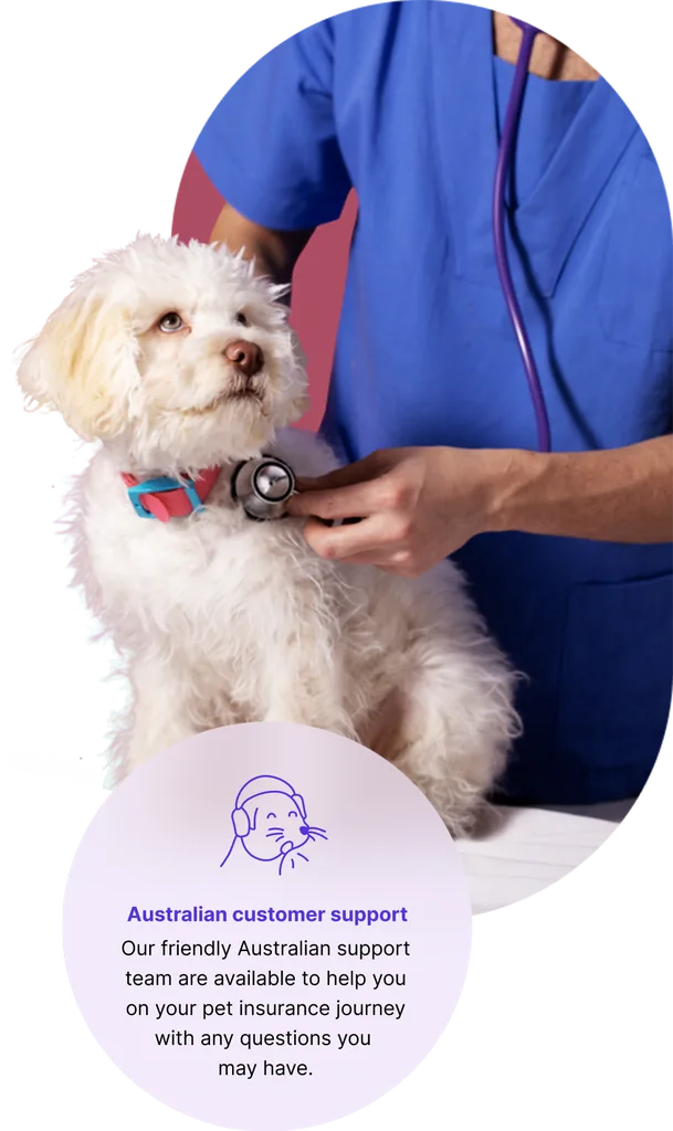 Vet checking a fluffy white dog with a stethoscope
