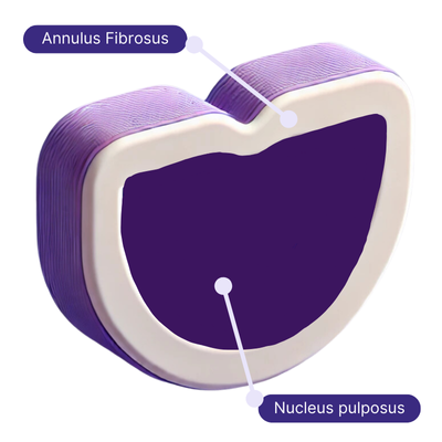 2-qxbpzc0p4gpjl1i6y990gi7q2343vm08e7w2rk3mao 2-qxbpzc0p4gpjl1i6y990gi7q2343vm08e7w2rk3mao