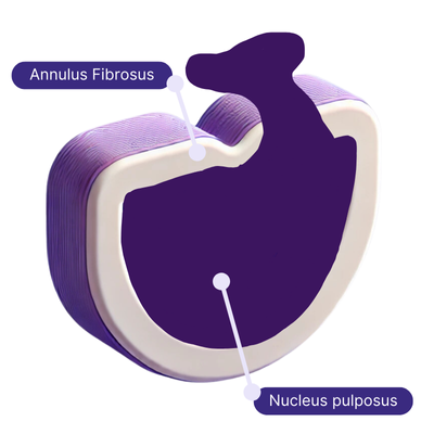 3-qxbpzb2uxmo99fjk3qudw0g9gp8qnwwi238laa50gw